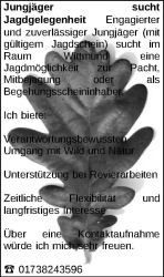 Vorschaubild der Anzeige, (Id: 2025351)