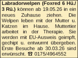 Vorschaubild der Anzeige, (Id: 2030713)