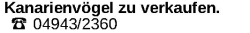 Vorschaubild der Anzeige, (Id: 2030303)