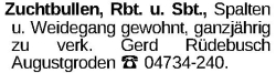 Vorschaubild der Anzeige, (Id: 2028889)