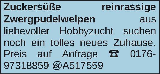 Vorschaubild der Anzeige, (Id: 2028937)