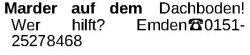 Vorschaubild der Anzeige, (Id: 2030649)