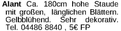 Vorschaubild der Anzeige, (Id: 2032617)