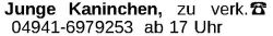 Vorschaubild der Anzeige, (Id: 2033989)
