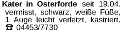 Vorschaubild der Anzeige, (Id: 2035762)