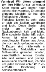 Vorschaubild der Anzeige, (Id: 2037482)