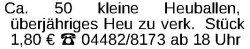 Vorschaubild der Anzeige, (Id: 2038359)