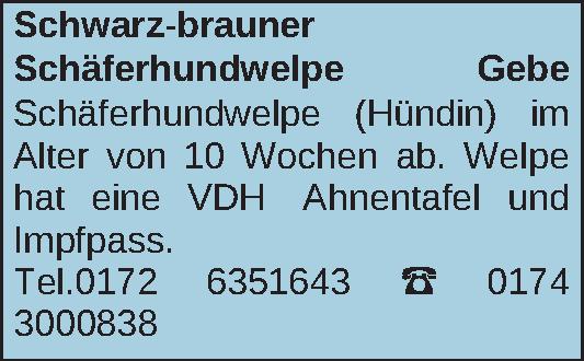 Vorschaubild der Anzeige, (Id: 2045055)