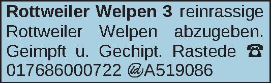 Vorschaubild der Anzeige, (Id: 2045937)