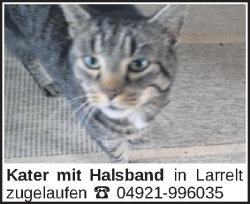 Vorschaubild der Anzeige, (Id: 2050628)