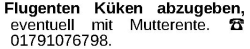 Vorschaubild der Anzeige, (Id: 2055146)