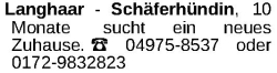Vorschaubild der Anzeige, (Id: 2055147)
