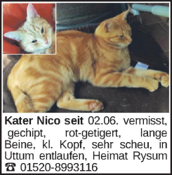 Vorschaubild der Anzeige, (Id: 2055135)