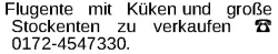 Vorschaubild der Anzeige, (Id: 2061648)