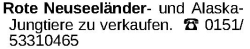 Vorschaubild der Anzeige, (Id: 2066513)