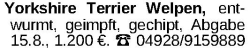 Vorschaubild der Anzeige, (Id: 2067911)