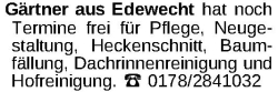 Vorschaubild der Anzeige, (Id: 2067943)