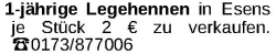 Vorschaubild der Anzeige, (Id: 2067906)