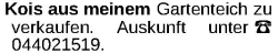 Vorschaubild der Anzeige, (Id: 2072742)