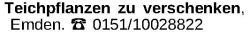 Vorschaubild der Anzeige, (Id: 2072746)