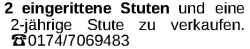 Vorschaubild der Anzeige, (Id: 2072720)