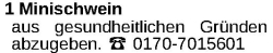 Vorschaubild der Anzeige, (Id: 2072722)