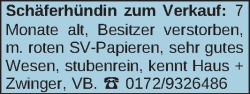 Vorschaubild der Anzeige, (Id: 2073337)
