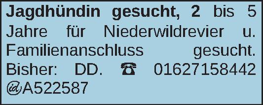 Vorschaubild der Anzeige, (Id: 2077365)