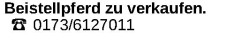 Vorschaubild der Anzeige, (Id: 2079674)