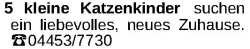 Vorschaubild der Anzeige, (Id: 2079633)