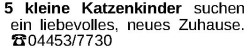 Vorschaubild der Anzeige, (Id: 2080773)