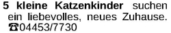 Vorschaubild der Anzeige, (Id: 2079635)
