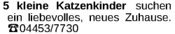 Vorschaubild der Anzeige, (Id: 2080774)