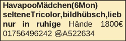 Vorschaubild der Anzeige, (Id: 2079639)