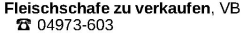 Vorschaubild der Anzeige, (Id: 2079668)