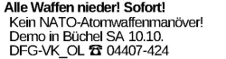 Vorschaubild der Anzeige, (Id: 2081239)