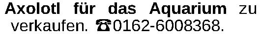 Vorschaubild der Anzeige, (Id: 2084914)