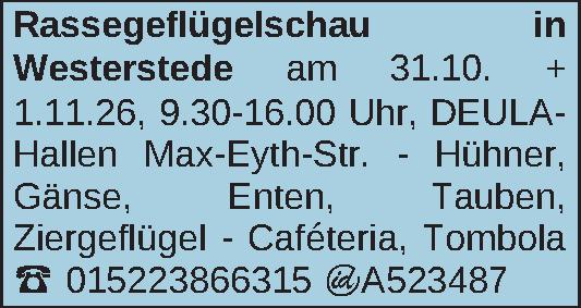 Vorschaubild der Anzeige, (Id: 2085372)