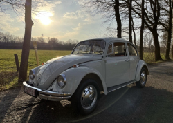 Vorschaubild der Anzeige, (Id: 1964560)
