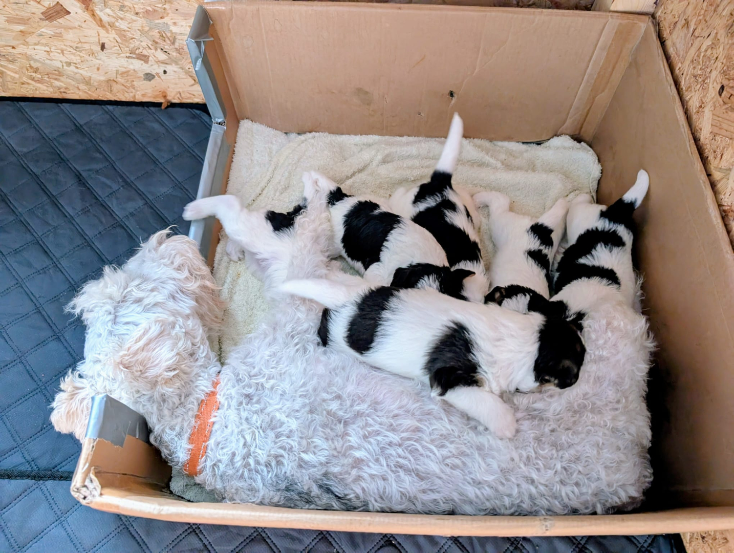 Vorschaubild 2 von 5