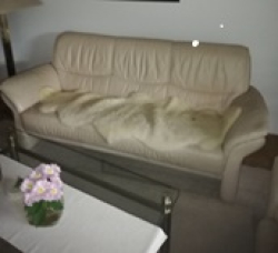 Vorschaubild der Anzeige, (Id: 1988626)