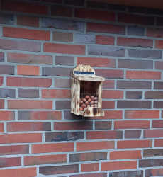 Vorschaubild der Anzeige, (Id: 1988801)