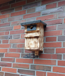 Vorschaubild der Anzeige, (Id: 1988802)