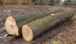 Vorschaubild der Anzeige, (Id: 1990399)