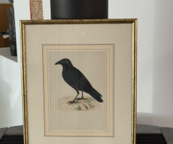 Vorschaubild der Anzeige, (Id: 1990418)