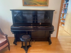 Vorschaubild der Anzeige, (Id: 1990421)