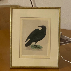 Vorschaubild der Anzeige, (Id: 1994658)