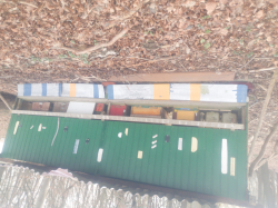 Vorschaubild der Anzeige, (Id: 1996765)