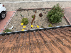 Vorschaubild der Anzeige, (Id: 1998400)