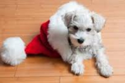 Vorschaubild der Anzeige, (Id: 2000442)